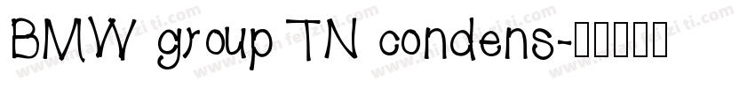 BMW group TN condens字体转换